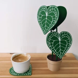 Coaster Set