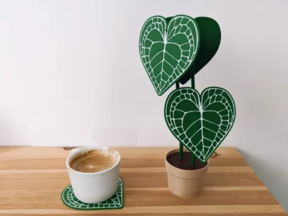 Coaster Set