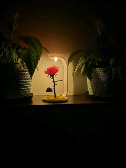 Rose Lamp (With Tea Light) - Image 2